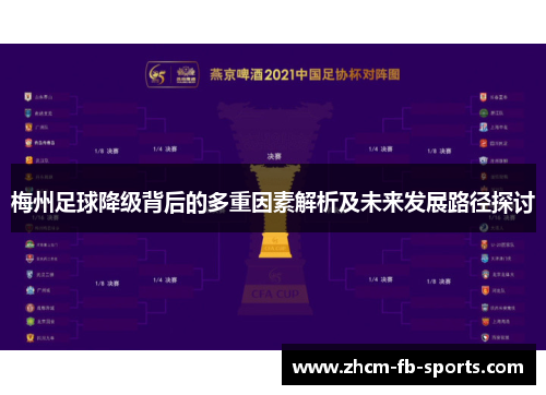 梅州足球降级背后的多重因素解析及未来发展路径探讨